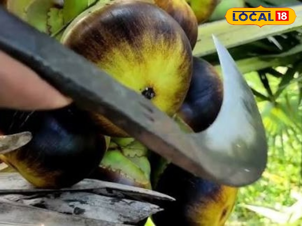 ஆதிச்சநல்லூர் அகழாய்வில் வெளிவந்த ஆச்சரியம்... சங்க காலத்திற்கும் முந்தைய சாமானியனின் ஆயுதம்... | தமிழ்நாடு போட்டோகேலரி - News18 தமிழ்