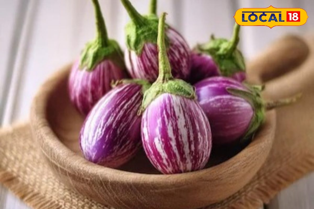 சேலம் மண்ணின் பெருமை... ஓமலூர் வரி கத்தரி... இதன் சிறப்பு தெரியுமா ?