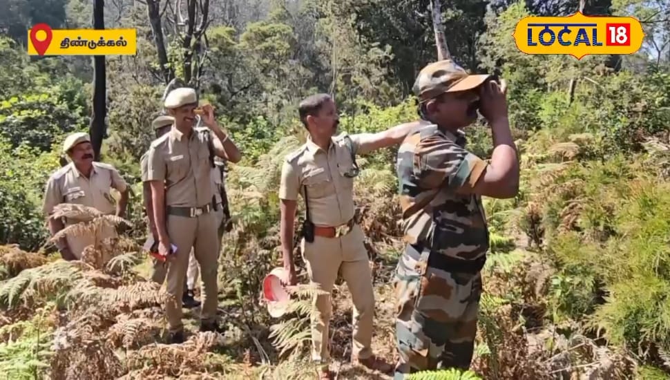 7 வனச்சரகங்களில் புலிகள் கணக்கெடுப்பு பணி துவக்கம்... 100 வனத்துறை அதிகாரிகள் பங்கேற்பு ! | திண்டுக்கல் செய்தி - News18 தமிழ்