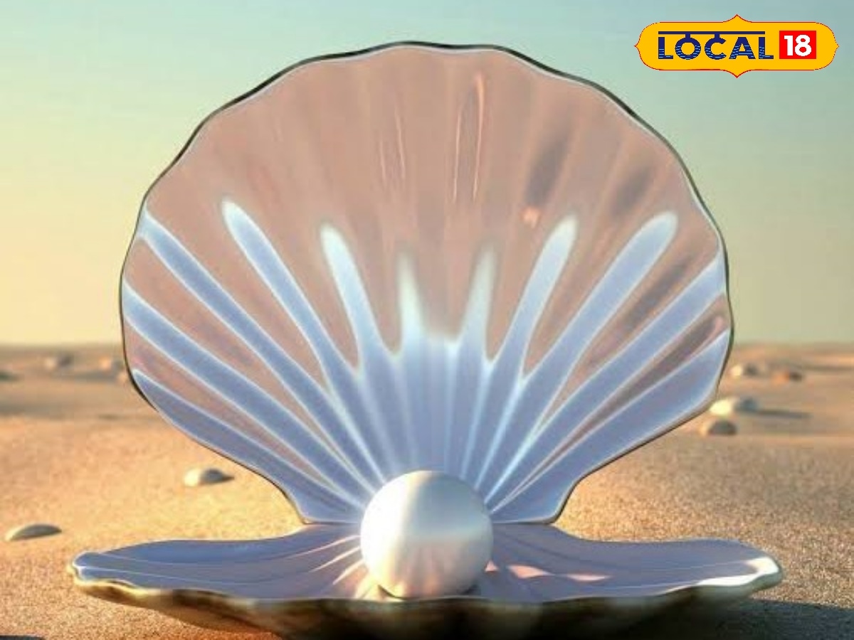 கிரேக்கம் வரை சென்ற பாண்டிய முத்து... தூத்துக்குடி முத்து இவ்வளவு சிறப்புடன் இருக்க காரணம் தெரியுமா..? | தமிழ்நாடு போட்டோகேலரி - News18 தமிழ்