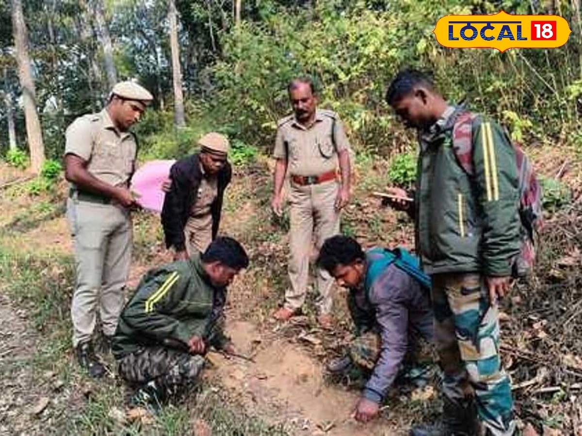 கூடலூர் வனக்கோட்டத்தில் கணக்கெடுப்பு பணி... பயிற்சியுடன் களமிறங்கிய வனத்துறையினர்... | Nilgiris News (நீலகிரி செய்திகள்) - News18 தமிழ்