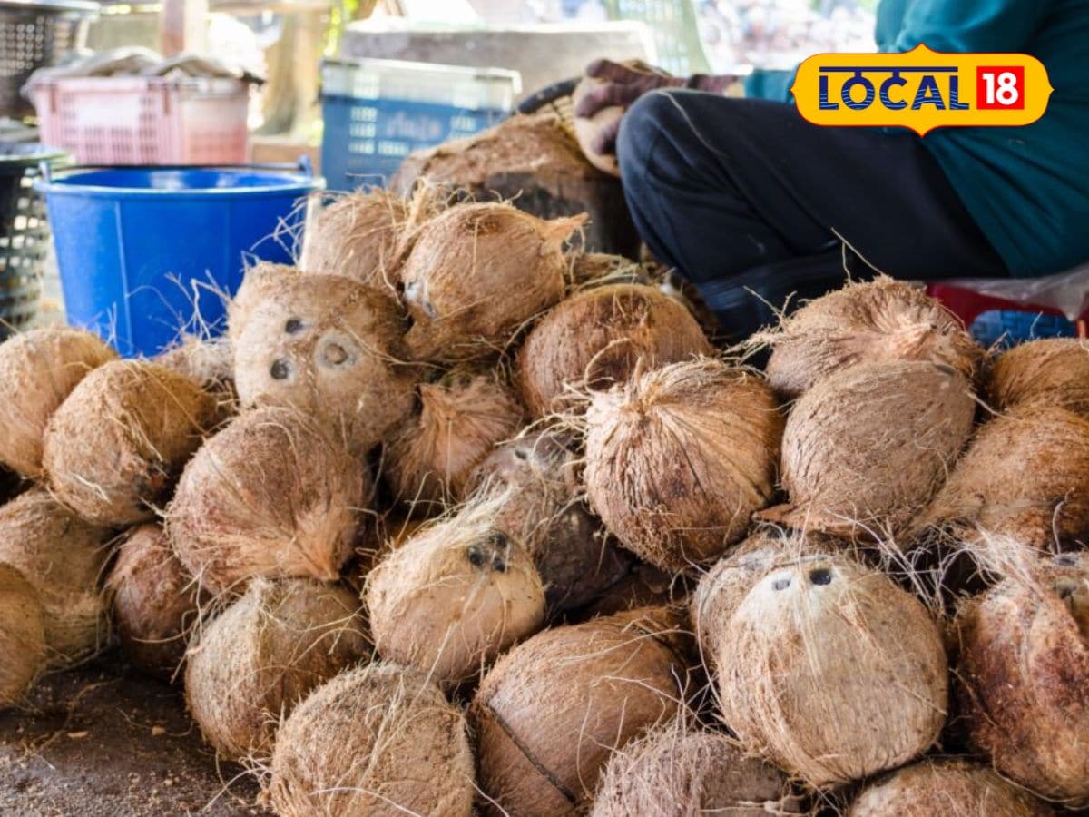 தேங்காய் விலை சரிவு – காய்கறி விலை உயர்வு... உழவர் சந்தை காய்கறி விலை நிலவரம் இதோ... | வணிகம் போட்டோகேலரி - News18 தமிழ்