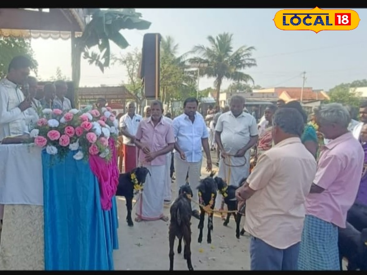 ஆட்டுக்கறி–கோழிக்கறியுடன் தடபுடல் கறி விருந்து - களைகட்டிய புனித செபஸ்தியார் ஆலய திருவிழா | திருச்சி செய்தி (Trichy News) - News18 தமிழ்