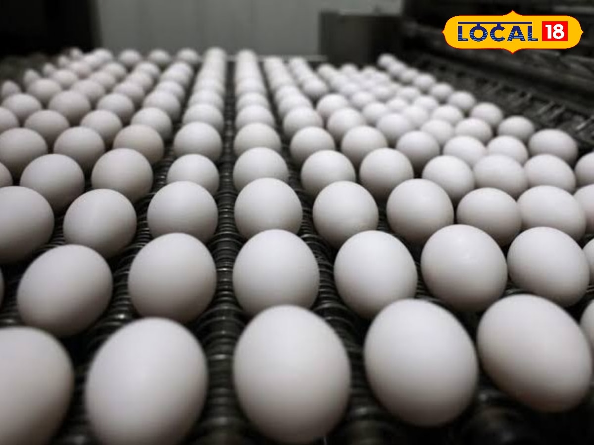 முட்டை விலை 5 காசுகள் உயர்வு... நாமக்கல்லில் இன்றைய நிலவரம் என்ன..? | Namakkal Photogallery (நாமக்கல் போட்டோகேலரி) - News18 தமிழ்