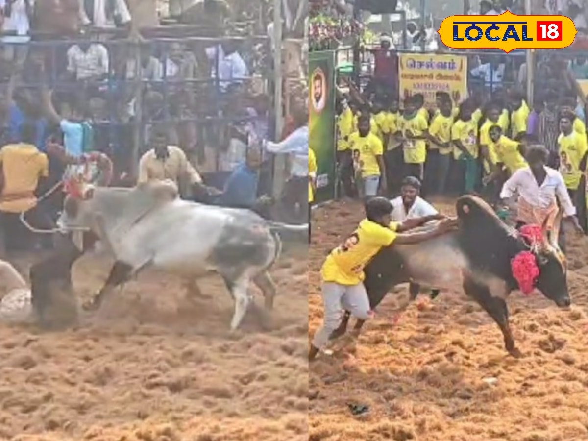 ஜல்லிக்கட்டில் வீரர்கள் உயிரிழந்தால் ரூ.10 லட்சம் நிவாரணம்... நாமக்கலில் EPS அறிவிப்பு... | நாமக்கல் செய்தி (Namakkal News) - News18 தமிழ்