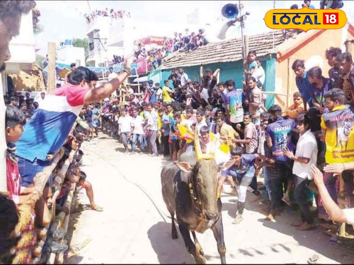 எருது விடும் விழா -  மின்னல் வேகத்தில் சீறிப்பாய்ந்த காளைகள்... | தமிழ்நாடு செய்திகள் (Tamil Nadu News) - News18 தமிழ்