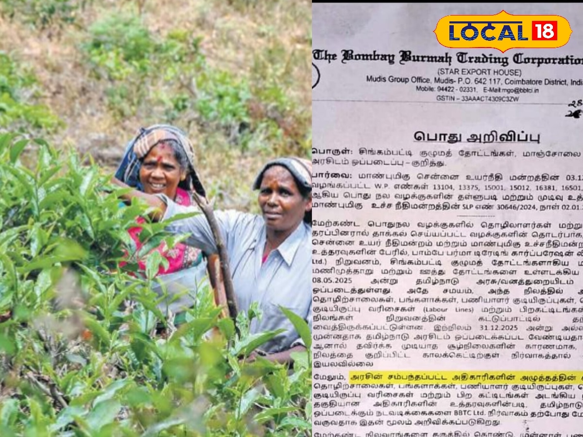 மாஞ்சோலை தேயிலை தோட்ட குடியிருப்புகளை 7 நாளில் காலி செய்ய நோட்டீஸ் - தொழிலாளர் குடும்பங்கள் அதிர்ச்சி | Tirunelveli News (திருநெல்வேலி செய்திகள்) - News18 தமிழ்