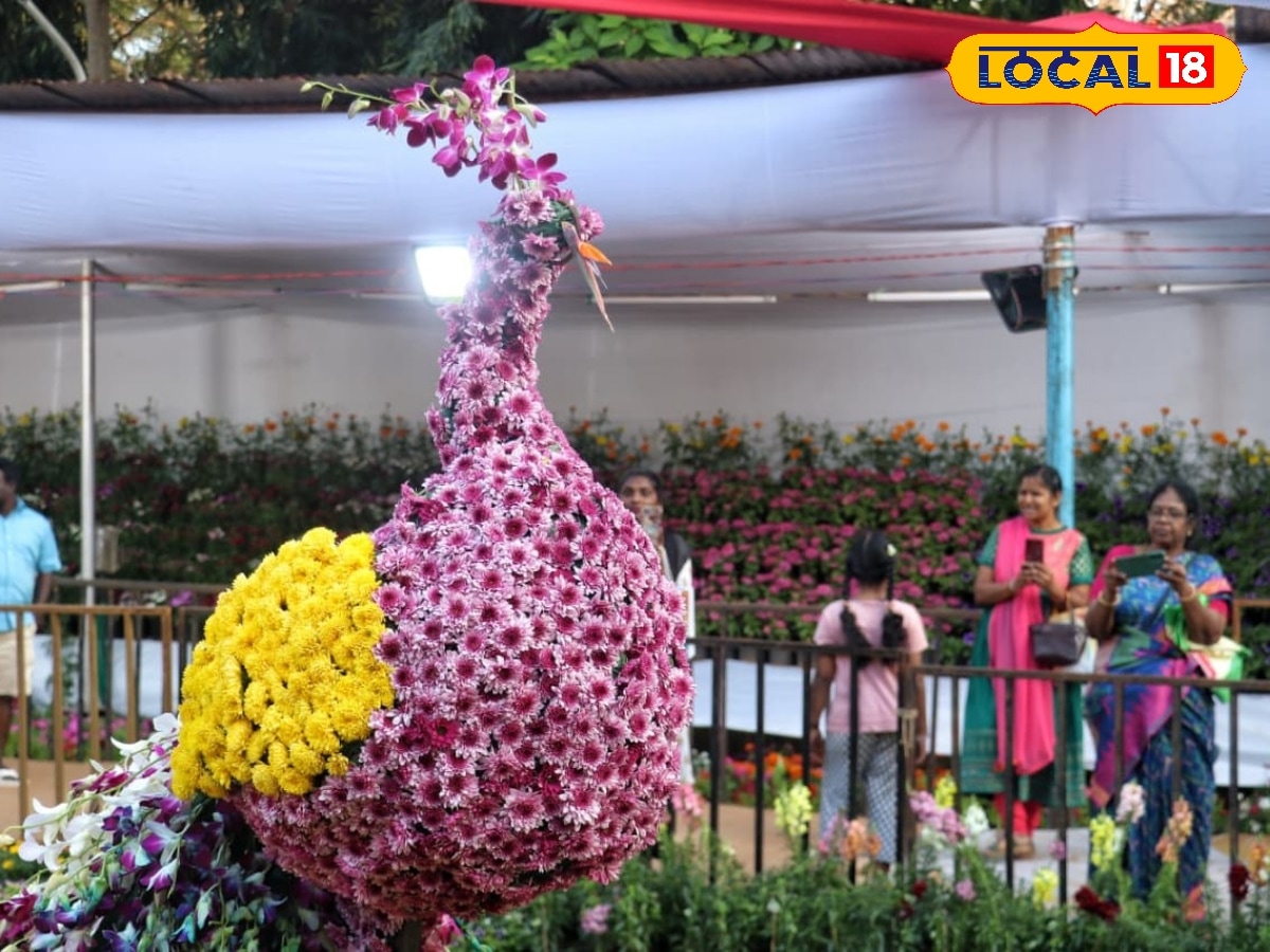 36வது மலர் கண்காட்சி... தாவரவியல் பூங்காவில் பிரம்மாண்டமாக துவக்கம் ! | Puducherry Photogallery (புதுச்சேரி போட்டோகேலரி) - News18 தமிழ்