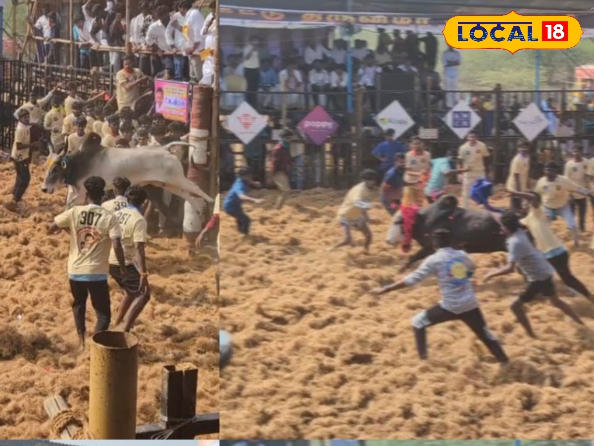 வாடிவாசலில் சீறிப்பாய்ந்த காளைகள்... குமாரபாளையத்தில் விறுவிறுப்பாக நடந்த ஜல்லிக்கட்டு... | நாமக்கல் செய்தி (Namakkal News) - News18 தமிழ்