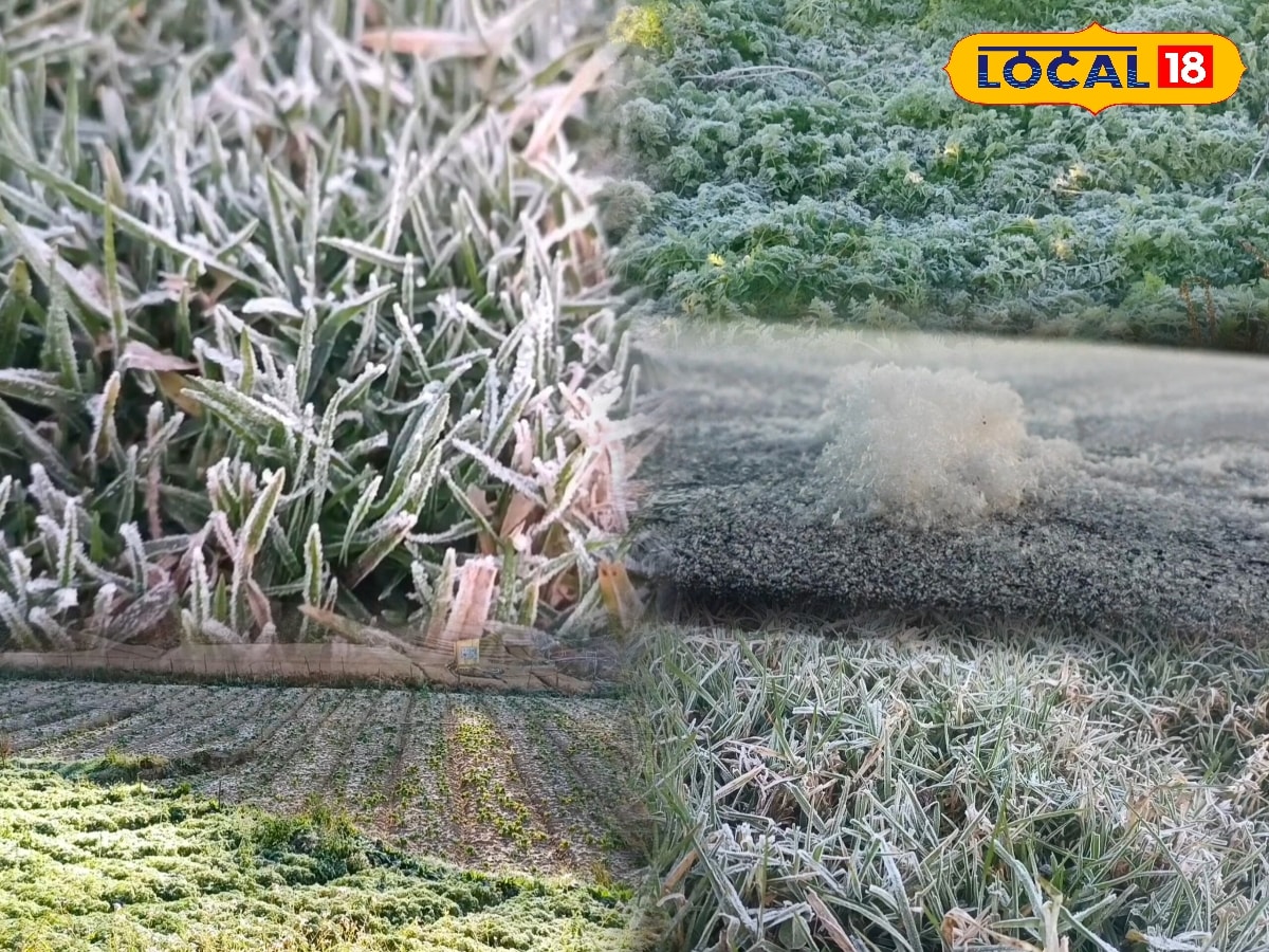 நீல மலையை உறைய வைக்கும் பனி... கணிக்க முடியாத காலநிலையால் மக்கள் கவலை... | Nilgiris News (நீலகிரி செய்திகள்) - News18 தமிழ்