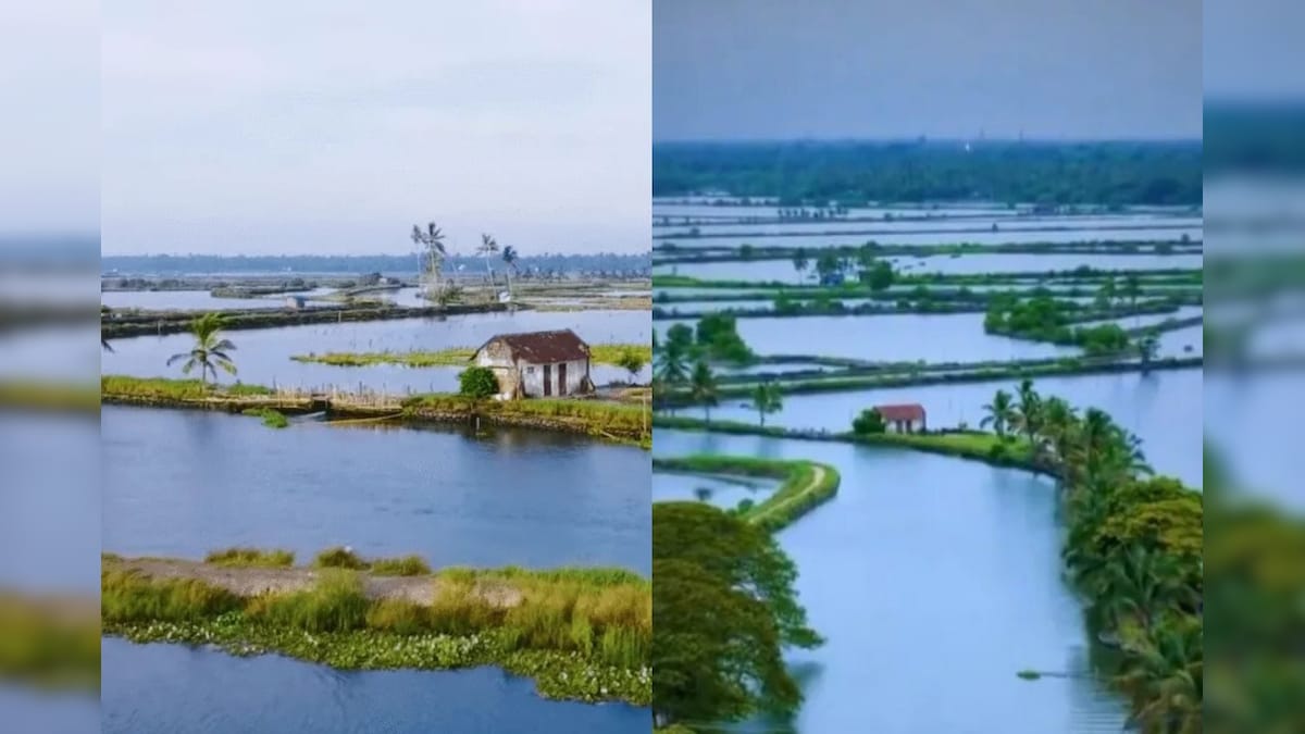 இந்தியாவில் உள்ள ஒரே மிதக்கும் கிராமம்.. சுற்றுலா பயணிகளின் சொர்க்கம்.. எங்கே இருக்கிறது தெரியுமா? | ட்ரெண்டிங் - News18 தமிழ்