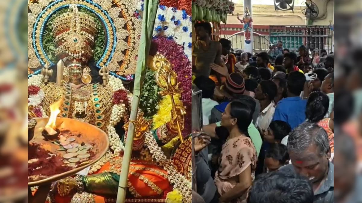 தை அமாவாசை : அங்காளம்மன் கோயிலில் பல்லாயிரக்கணக்கான பக்தர்கள் சாமி தரிசனம் | விழுப்புரம் - News18 தமிழ்
