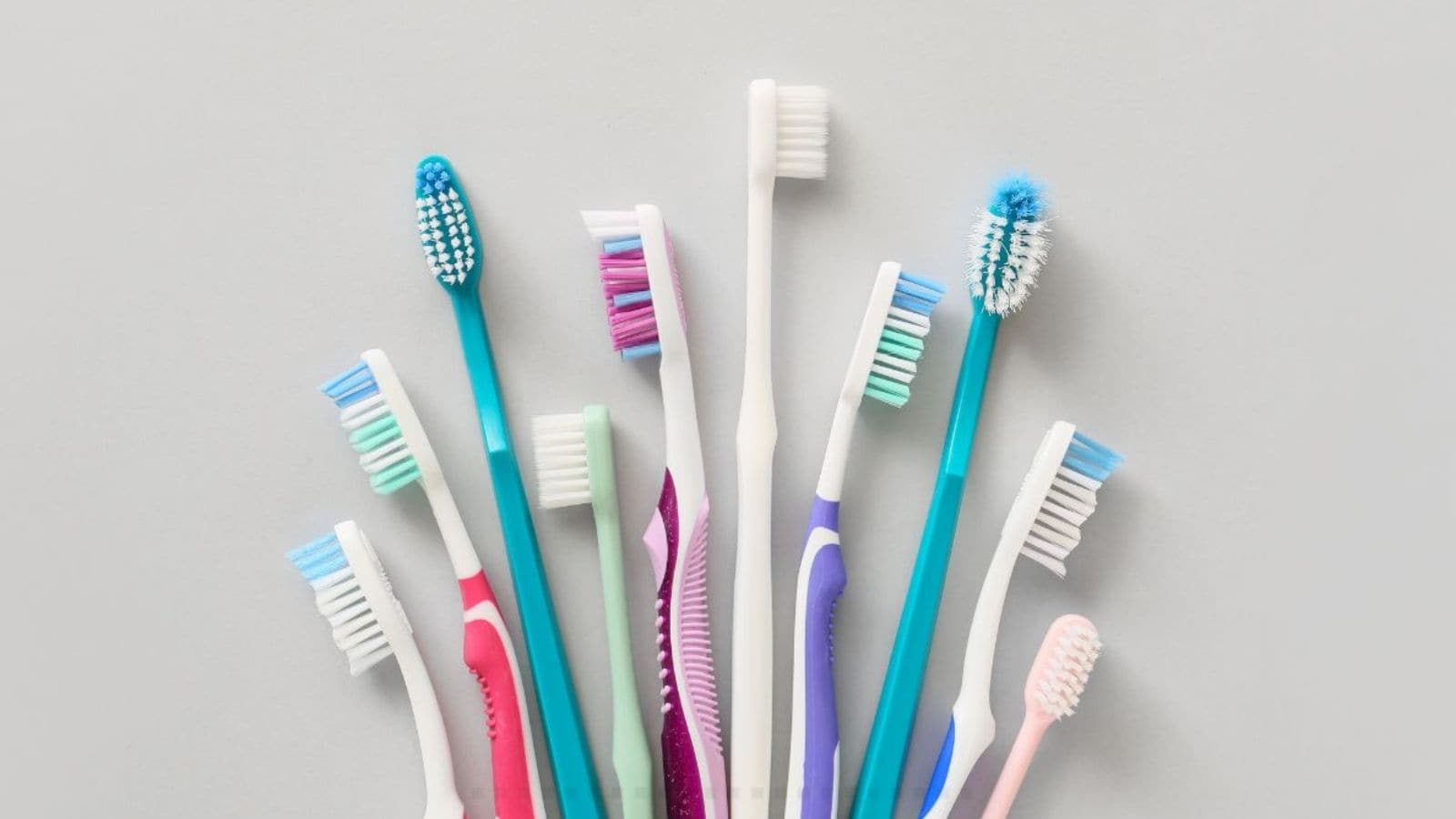 Toothbrush-ன் பிரிஸ்டில் ஏன் இரண்டு நிறங்களில் உள்ளன? 99% பேருக்கு தெரியாது! | Trending Stories Photogallery (டிரெண்டிங் போட்டோகேலரி) - News18 தமிழ்