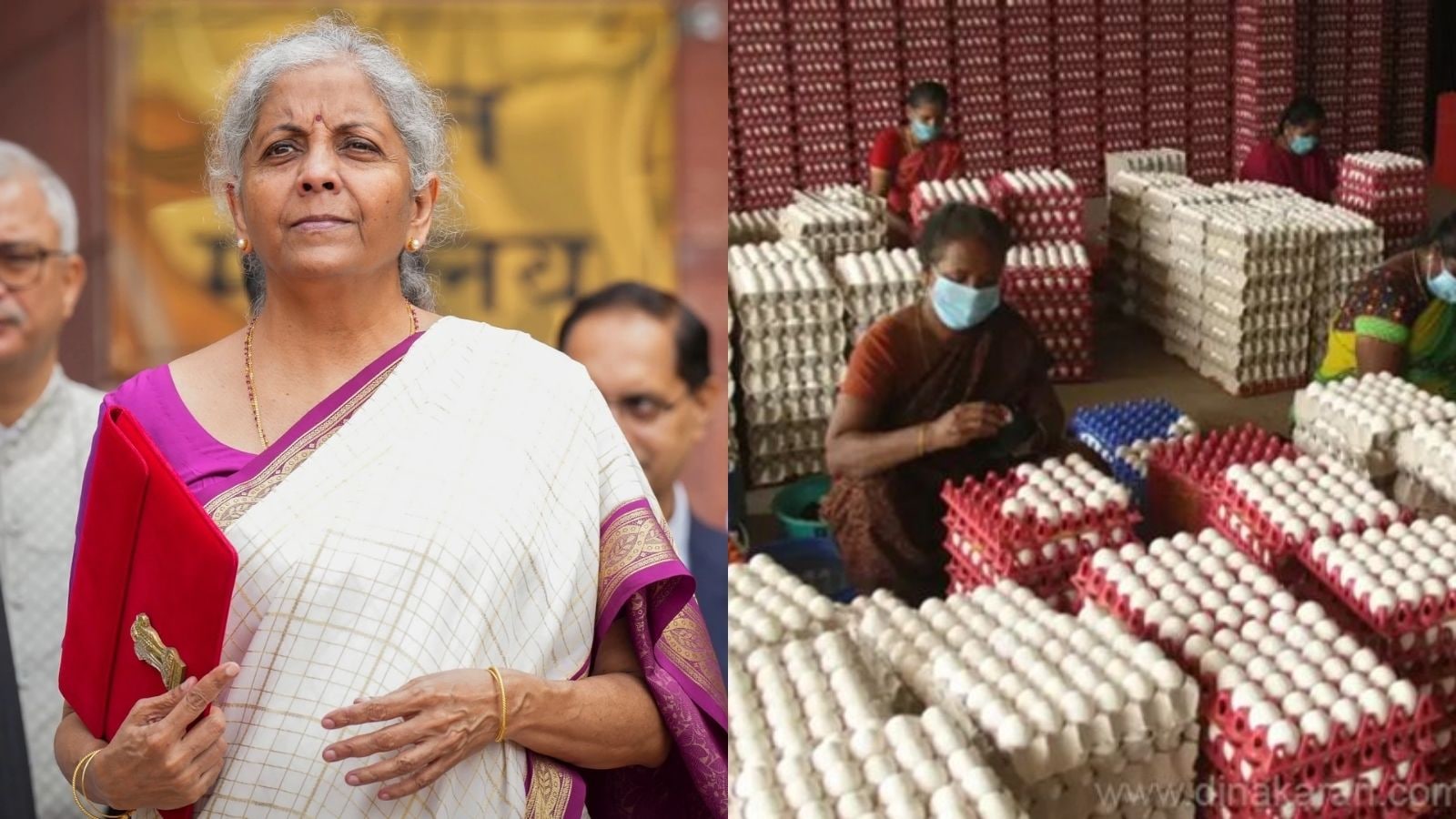 Union Budget 2026 | மத்திய பட்ஜெட்டில் முட்டை ஏற்றுமதிக்கு மானியம் வழங்கிட வேண்டும்.. கோழிப்பண்ணை உரிமையாளர்கள் கோரிக்கை! | தமிழ்நாடு செய்திகள் (Tamil Nadu News) - News18 தமிழ்