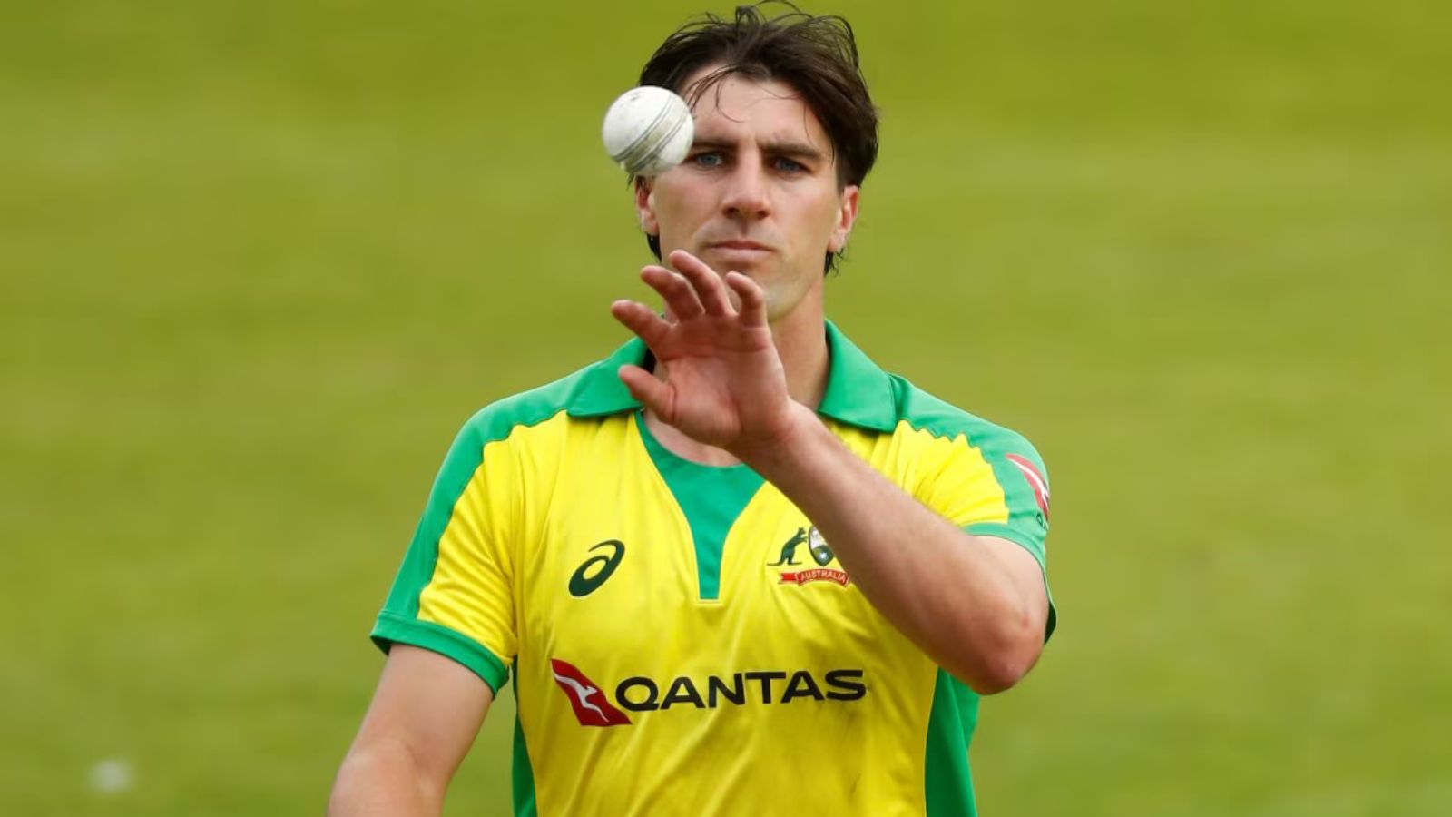 உலகக் கோப்பை டி20 தொடர்.. காயம் காரணமாக ஆஸ்திரேலிய கேப்டன் கம்மின்ஸ் விலகல் | கிரிக்கெட் செய்திகள் - News18 தமிழ்