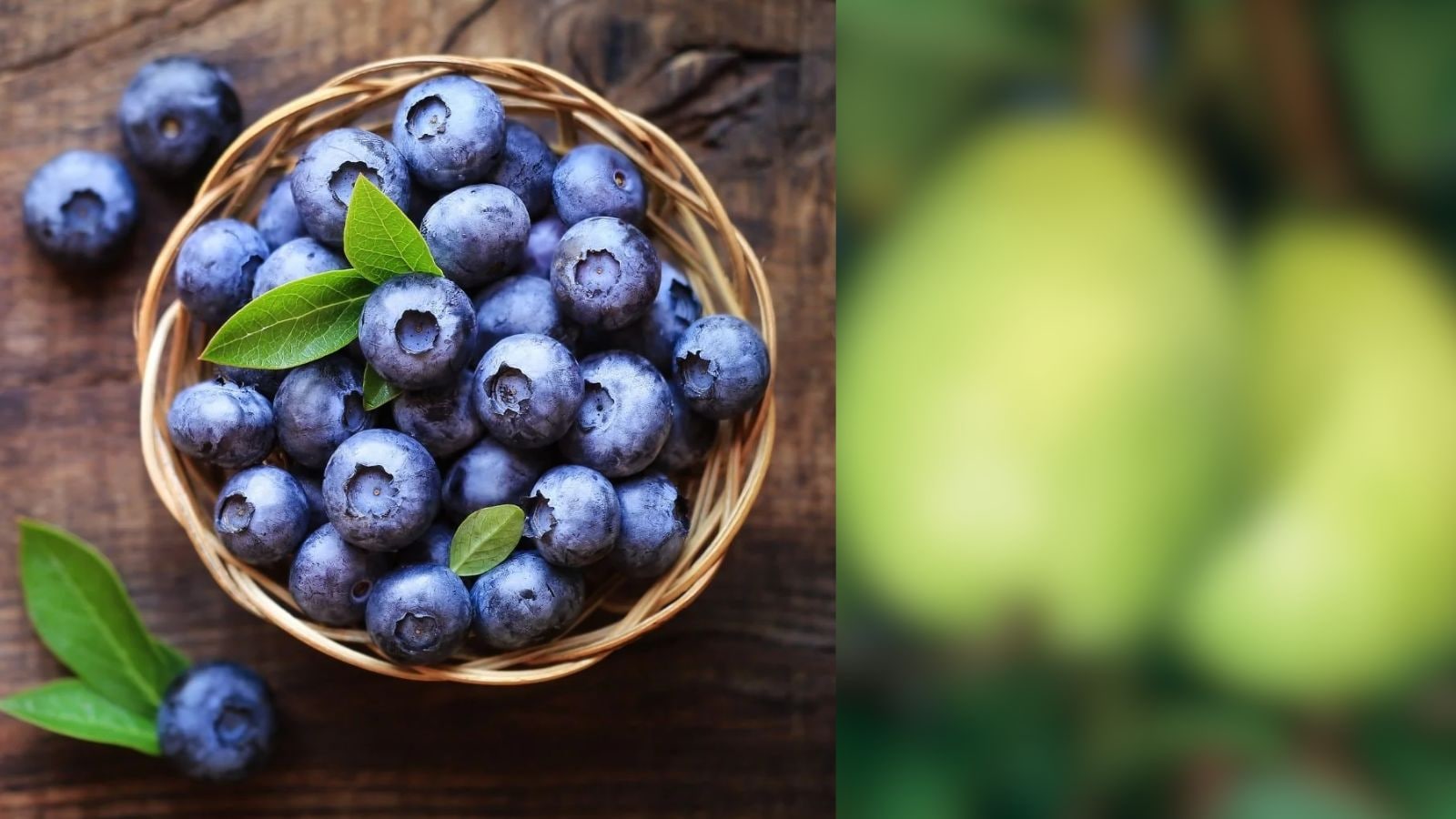 எந்த பழம் ப்ளூபெர்ரிக்கு சிறந்த மாற்று..? ஊட்டச்சத்து நிபுணர் விளக்கம்..! | Lifestyle News (வாழ்க்கை முறை செய்திகள்) - News18 தமிழ்