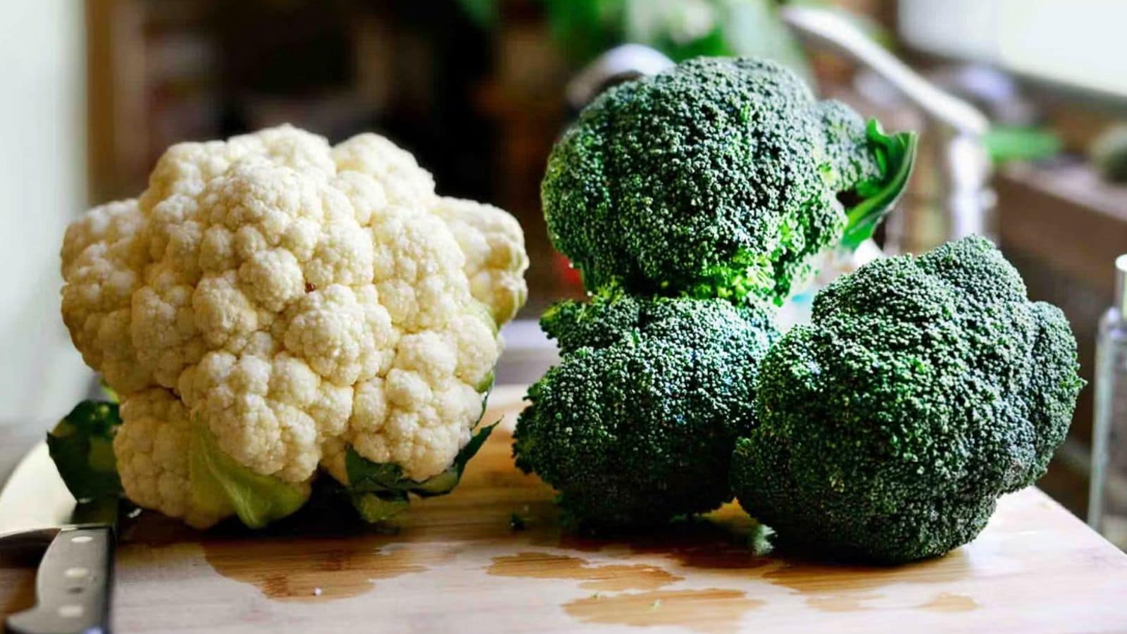 காலிஃபிளவர் vs ப்ரக்கோலி: ஆரோக்கியத்திற்கு எது சிறந்தது? | Lifestyle News (வாழ்க்கை முறை செய்திகள்) - News18 தமிழ்