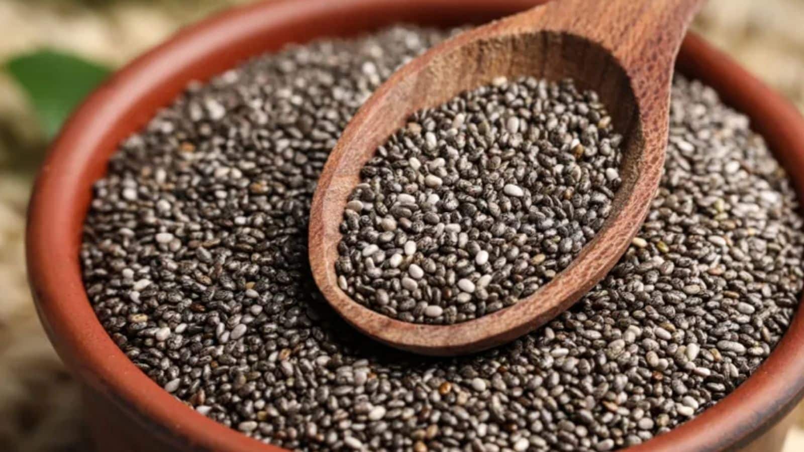 சியா விதை யாரெல்லாம் சாப்பிடவே கூடாது..? அவசியம் தெரிஞ்சுக்கோங்க..! | லைப்ஸ்டைல் போட்டோகேலரி - News18 தமிழ்