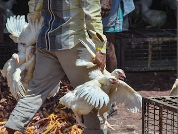 மாதிரி படம் மாதிரி படம்