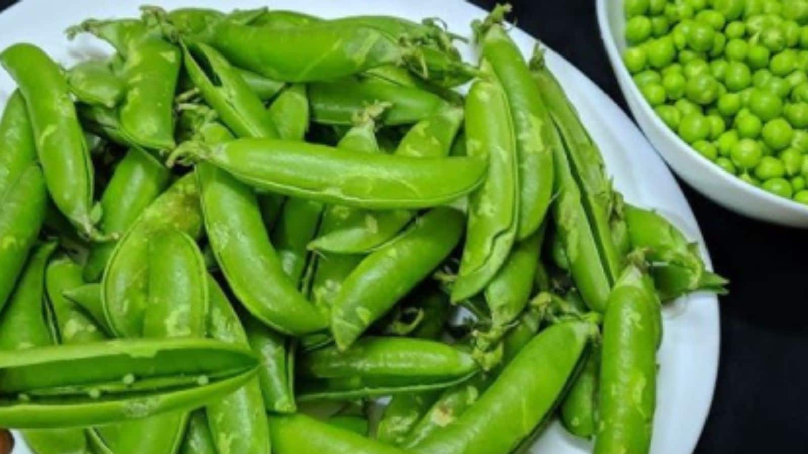 பட்டாணி தோலை தூக்கி எறிகிறீர்களா..? அதை வைத்து இவ்வளவு விஷயங்கள் செய்யலாம்..! | லைப்ஸ்டைல் போட்டோகேலரி - News18 தமிழ்