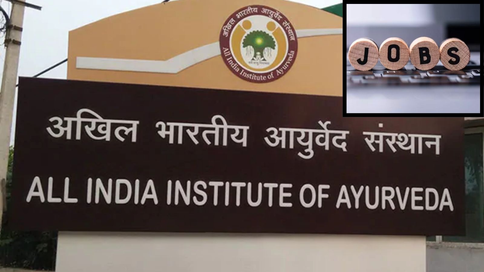 இந்திய ஆயுர்வேத நிறுவனத்தில் வேலைவாய்ப்பு... இந்த தகுதிகள் இருந்தா உடனே அப்ளை பண்ணுங்க! | வேலைவாய்ப்பு செய்திகள் - News18 தமிழ்
