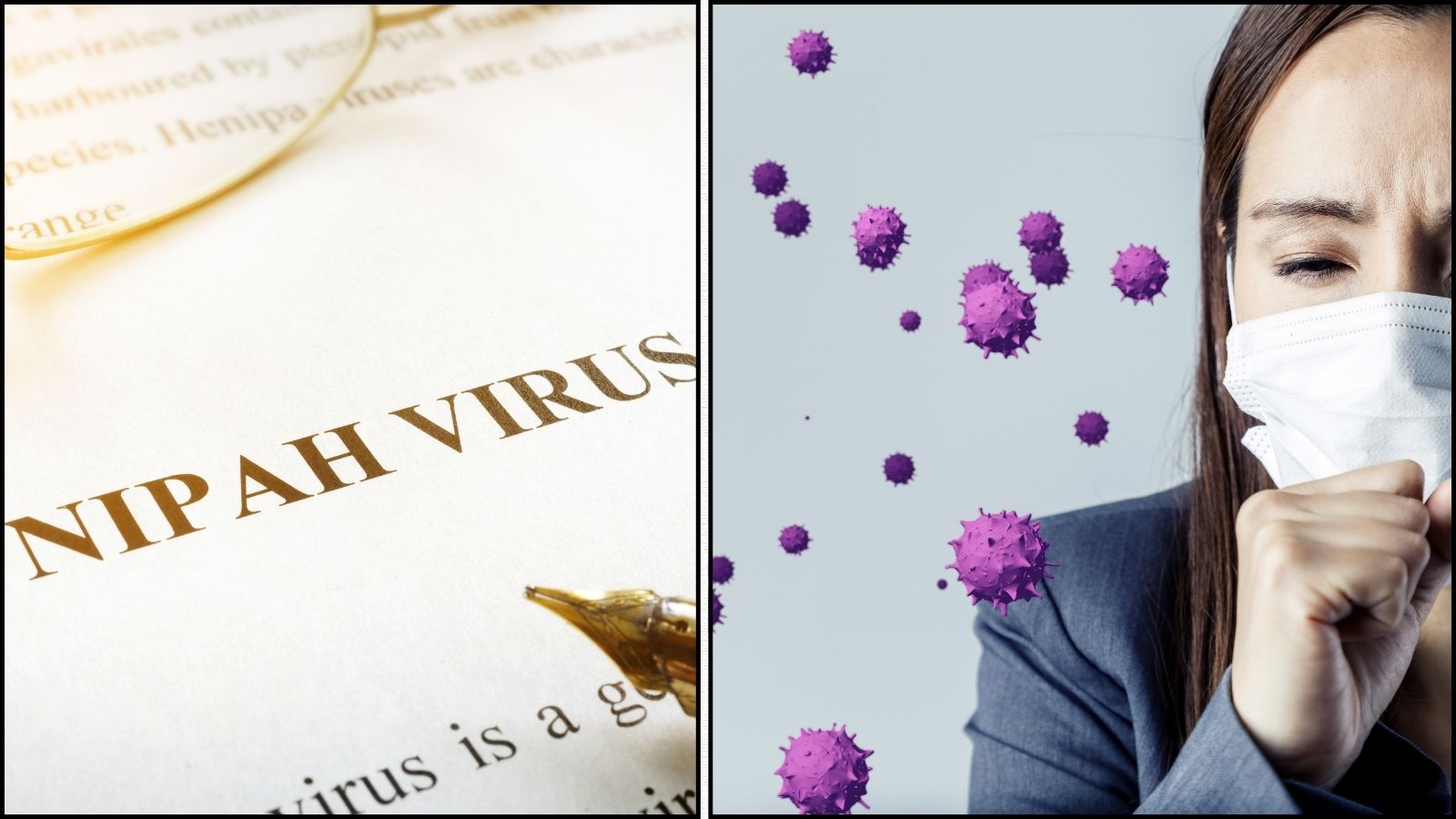 Nipah Virus symptoms | நிபா வைரஸ் Vs பிற சீசனல் தொற்றுநோய்கள்... அறிகுறிகள் எப்படி வித்தியாசப்படும்? | லைப்ஸ்டைல் போட்டோகேலரி - News18 தமிழ்