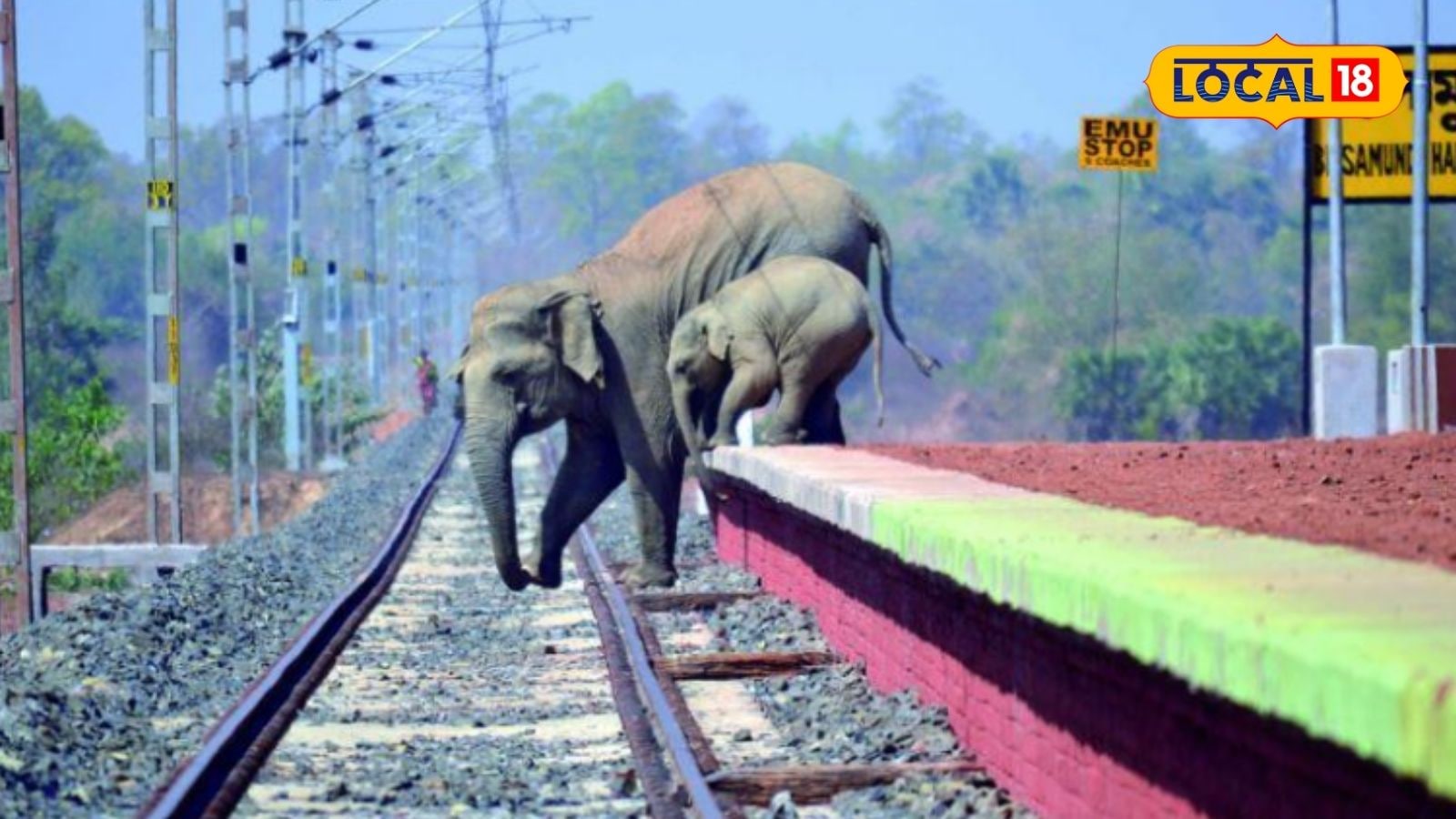 யானைகள் இனி ரயிலுக்கு பலியாகாது... AI தொழில்நுட்பத்துடன் இந்திய ரயில்வே அதிரடி... | தமிழ்நாடு போட்டோகேலரி - News18 தமிழ்