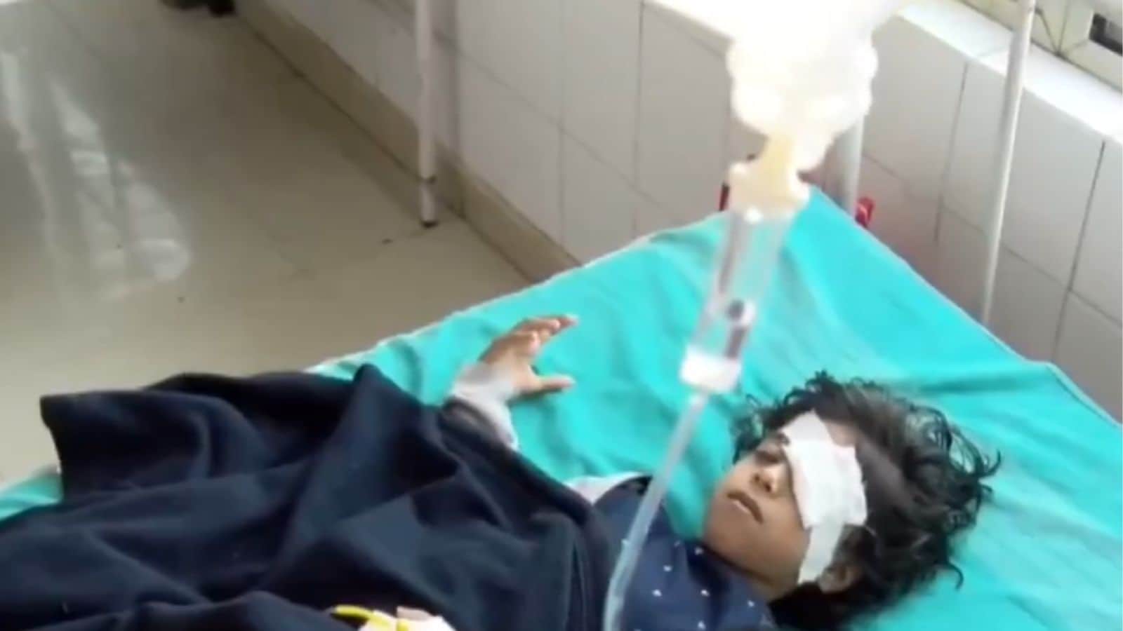 சிறுமியை கடித்துக் குதறிய தெரு நாய்கள்... காண்போரை கதிகலங்கச் செய்யும் காட்சிகள்...  இதற்கு ஒரு தீர்வே கிடைக்காதா...? | India News (இந்தியா செய்திகள்) - News18 தமிழ்