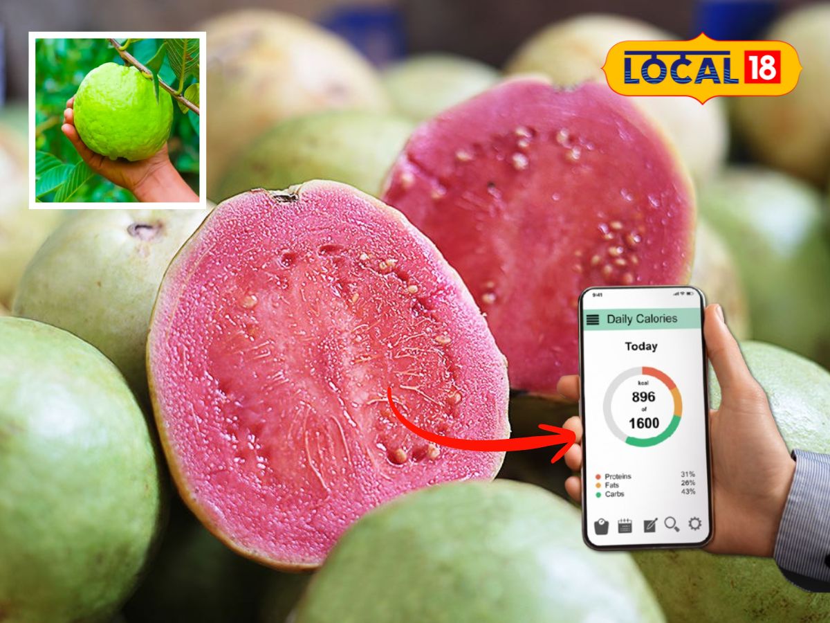 100 கிராம்  கொய்யாவில் இத்தனை கலோரிகளா.? - டயட்ல இருக்குறவங்க ஃபாலோ பண்ணுங்க... | லைப்ஸ்டைல் போட்டோகேலரி - News18 தமிழ்