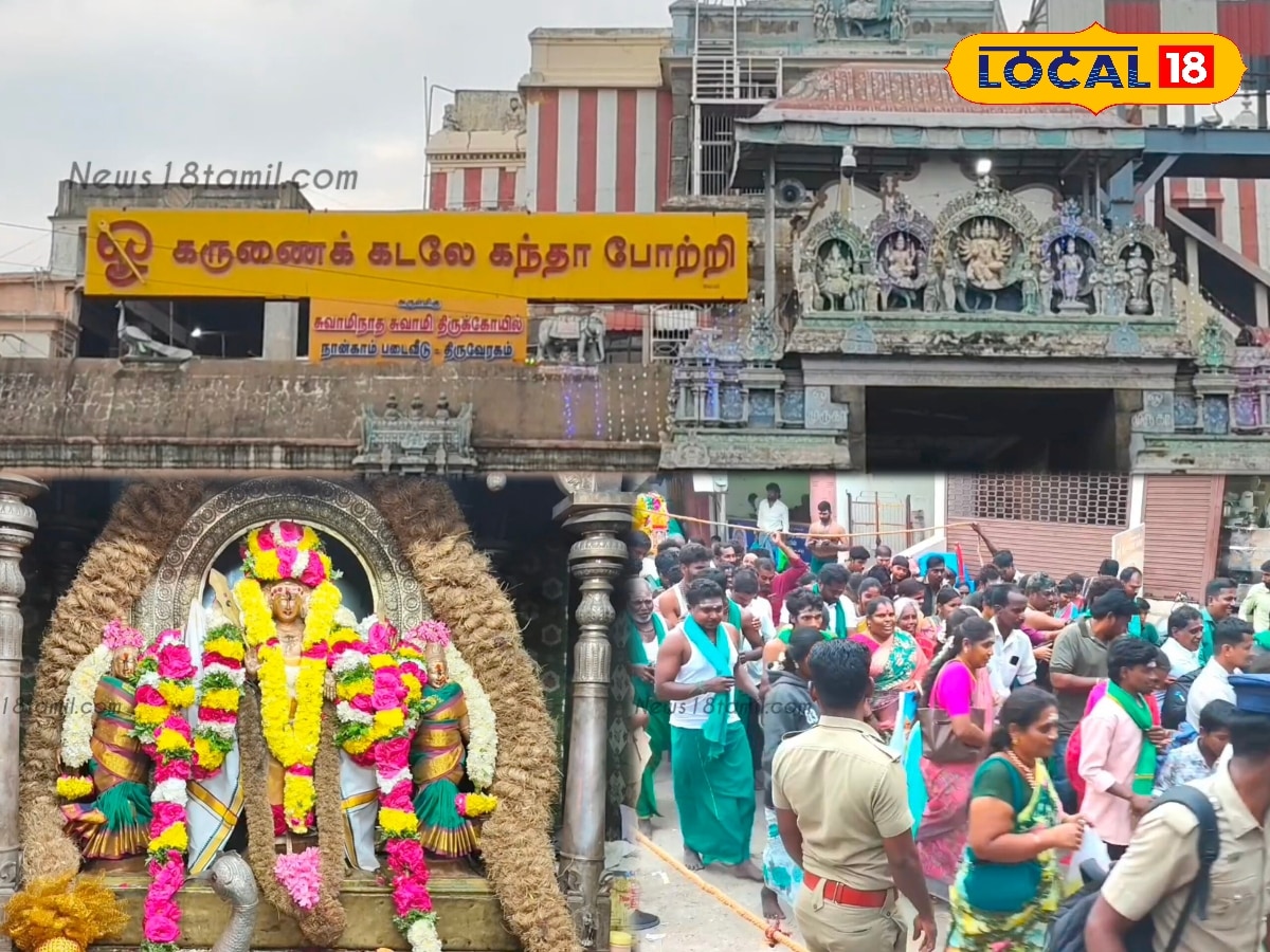 தைப்பூசம் திருவிழா... சுவாமிமலை முருகன் கோவிலில் திரளான பக்தர்கள் தரிசனம்... | Spirituality News (ஆன்மீக செய்திகள்) - News18 தமிழ்