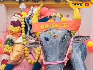 ஜல்லிக்கட்டு