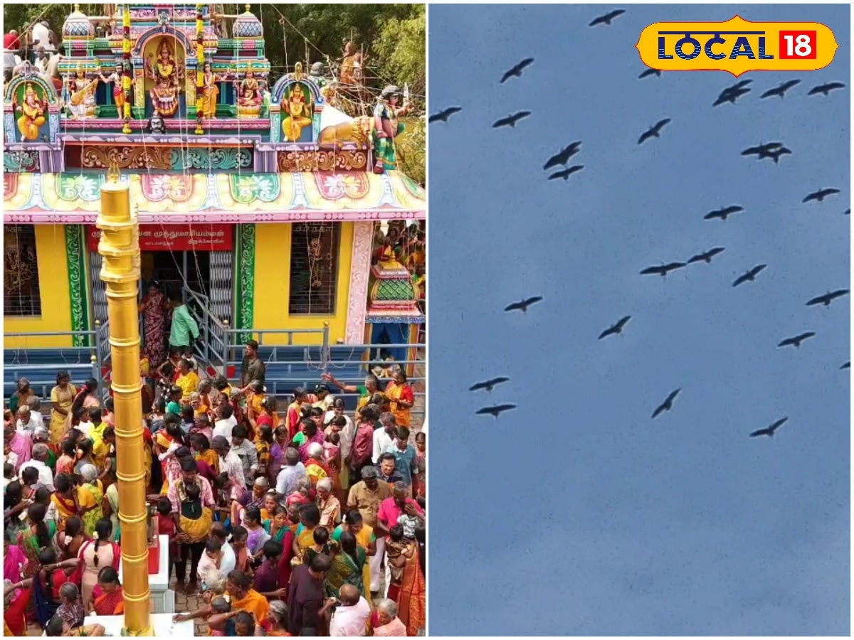 கருடர்கள் வானத்தில் வட்டமிட்ட அதிசயம்... பூங்காவன முத்துமாரியம்மன் கும்பாபிஷேகம்... | Spirituality News (ஆன்மீக செய்திகள்) - News18 தமிழ்