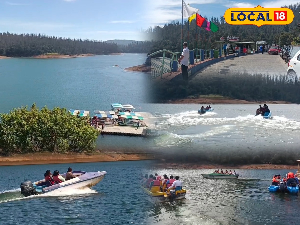 அதிவேக படகுகளில் த்ரில் சவாரி... படகு குழாமிற்கு விசிட் அடிக்கும் காட்டு விலங்குகள்... | Nilgiris News (நீலகிரி செய்திகள்) - News18 தமிழ்