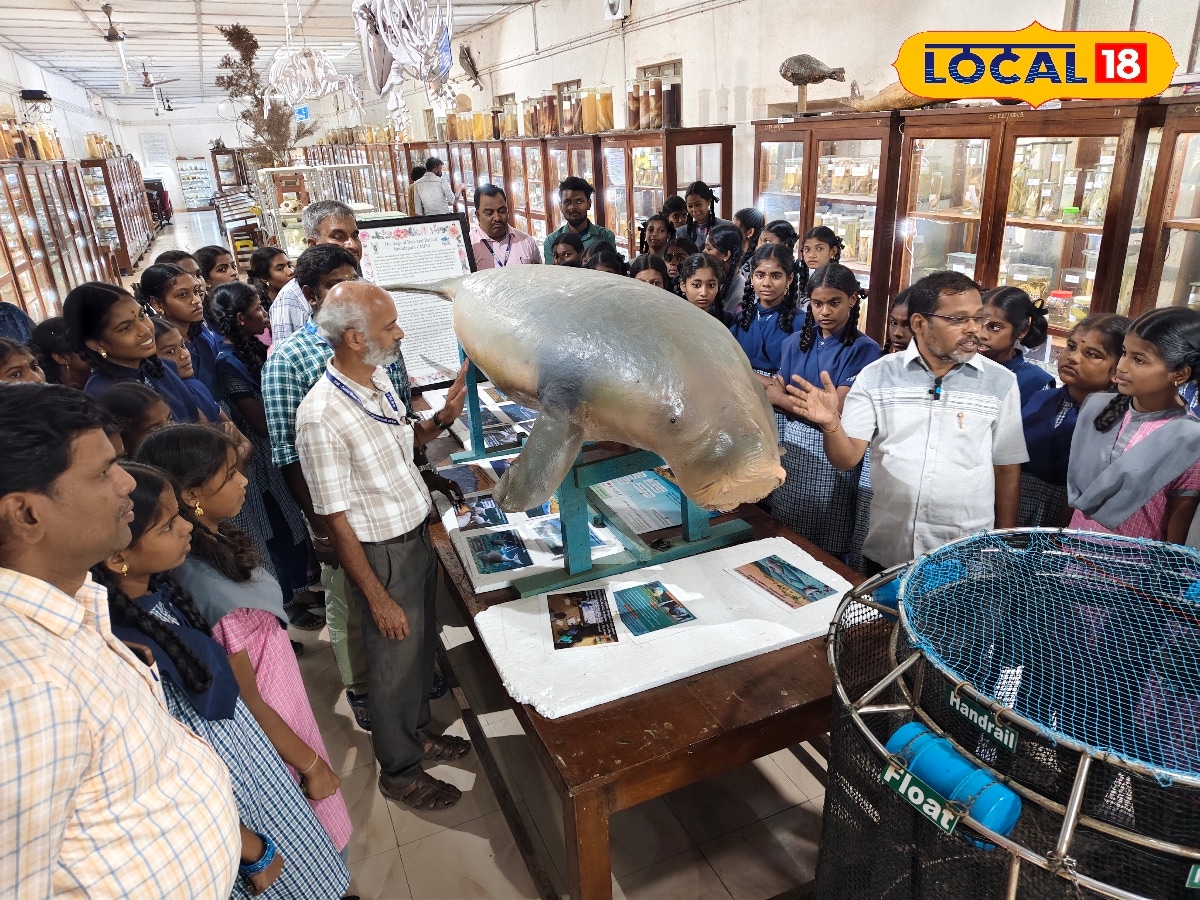மீன்களில் இவ்வளவு வெரைட்டியா... அரியவகை கடல்வாழ் உயிரினம்... வியந்து பார்த்த மாணவர்கள்..! | ராமநாதபுரம் செய்தி(Ramanathapuram News) - News18 தமிழ்