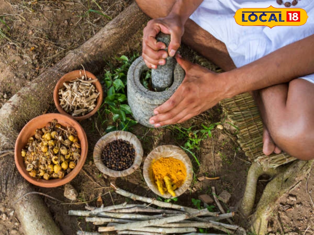 வெறும் 5 கிராம் போதும்... உடல் நல பிரச்சனைகளுக்கு டக்குனு தீர்வு... வெந்தயத்தின் இயற்கை பவர் | ஆரோக்கியம் போட்டோகேலரி - News18 தமிழ்