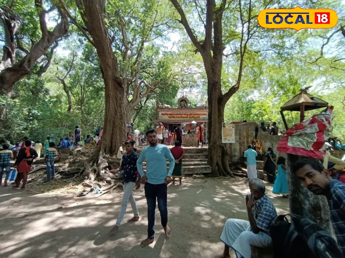 பன்னீர் மழை.... ஆண்டுக்கு இரு முறை மட்டும் நிகழும் அதிசயம்... அதுவும் நம்ம தமிழ்நாட்டில் ! | தமிழ்நாடு போட்டோகேலரி - News18 தமிழ்