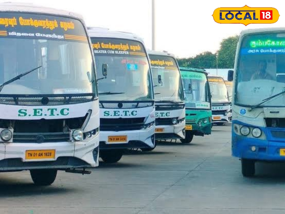 சொந்த ஊர் பயணம் இனி சுலபம்... தமிழகமெங்கும் 725 சிறப்பு பேருந்துகள்... | தமிழ்நாடு போட்டோகேலரி - News18 தமிழ்
