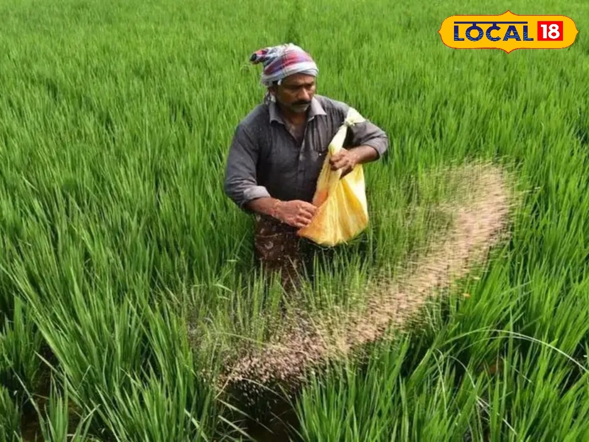 கலப்பட உரம் விற்றால் தப்ப முடியாது – எச்சரித்த  மத்திய அரசு உறுதி...   | Agriculture Stories Photogallery (வேளாண்மை போட்டோகேலரி) - News18 தமிழ்