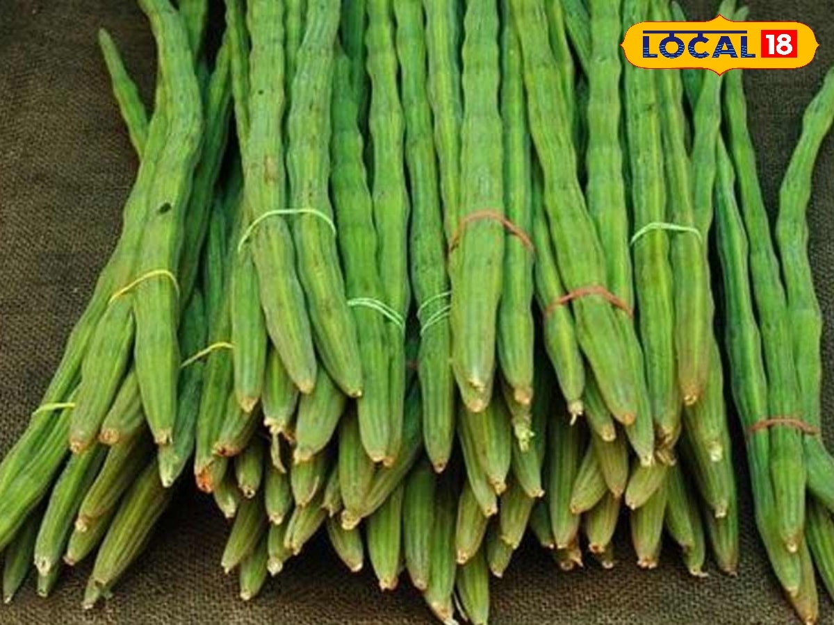 கடகடவென குறைந்த முருங்கைக்காய் விலை... மகிழ்ச்சியில் இல்லத்தரசிகள் ! | சேலம் செய்தி (Salem News) - News18 தமிழ்
