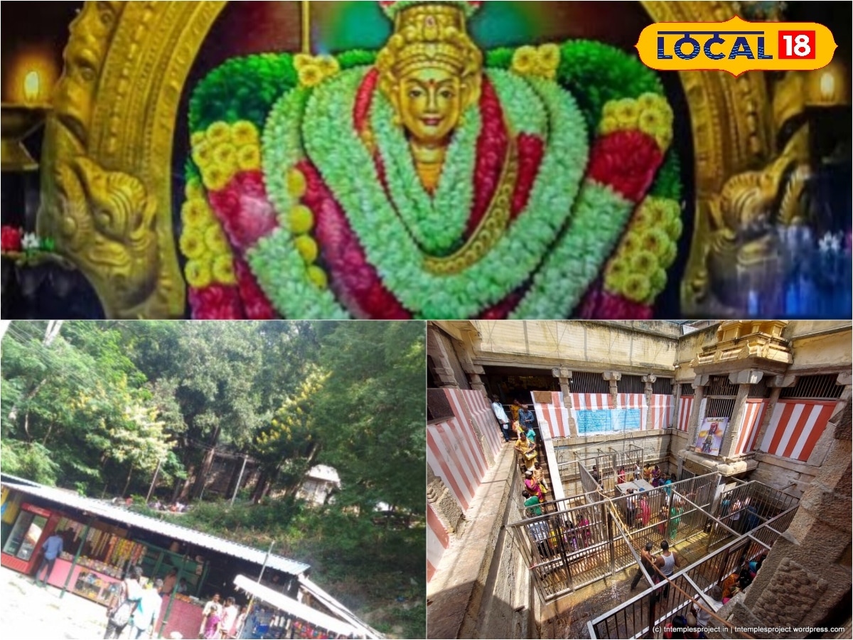 ரவிக்கை துணி கொடுத்தால் குடும்பத்தில் அற்புதம் ? அழகர் மலையில் விசித்திர வழிபாடு | தமிழ்நாடு போட்டோகேலரி - News18 தமிழ்