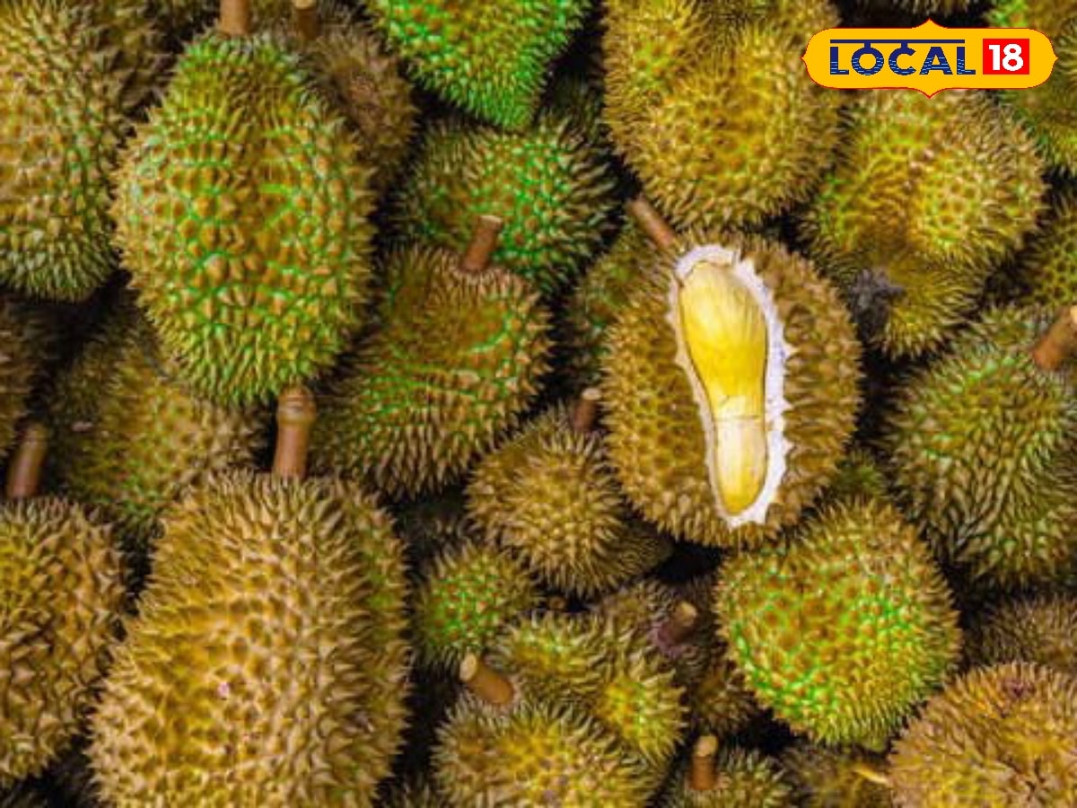 கடல் கடந்து வந்த பழங்களின் ராஜா... தமிழ்நாட்டில் இங்க மட்டும் தான் விளையுது தெரியுமா..? | உணவு போட்டோகேலரி - News18 தமிழ்