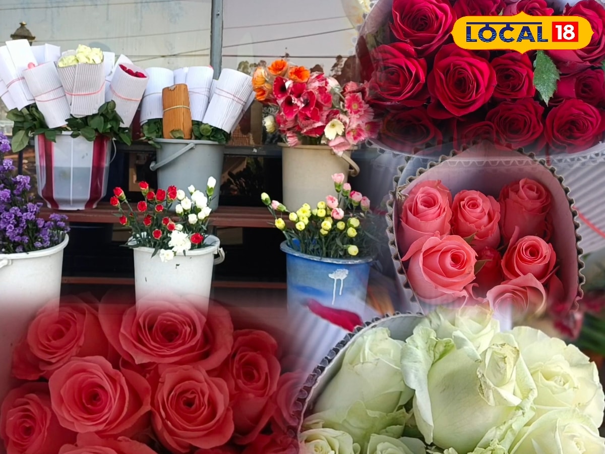 மலை மாவட்டத்தில் விற்பனை டல்... ரோஜா கண்காட்சி நகரத்திற்கே இப்படி ஒரு நிலைமையா..? | தமிழ்நாடு செய்திகள் (Tamil Nadu News) - News18 தமிழ்