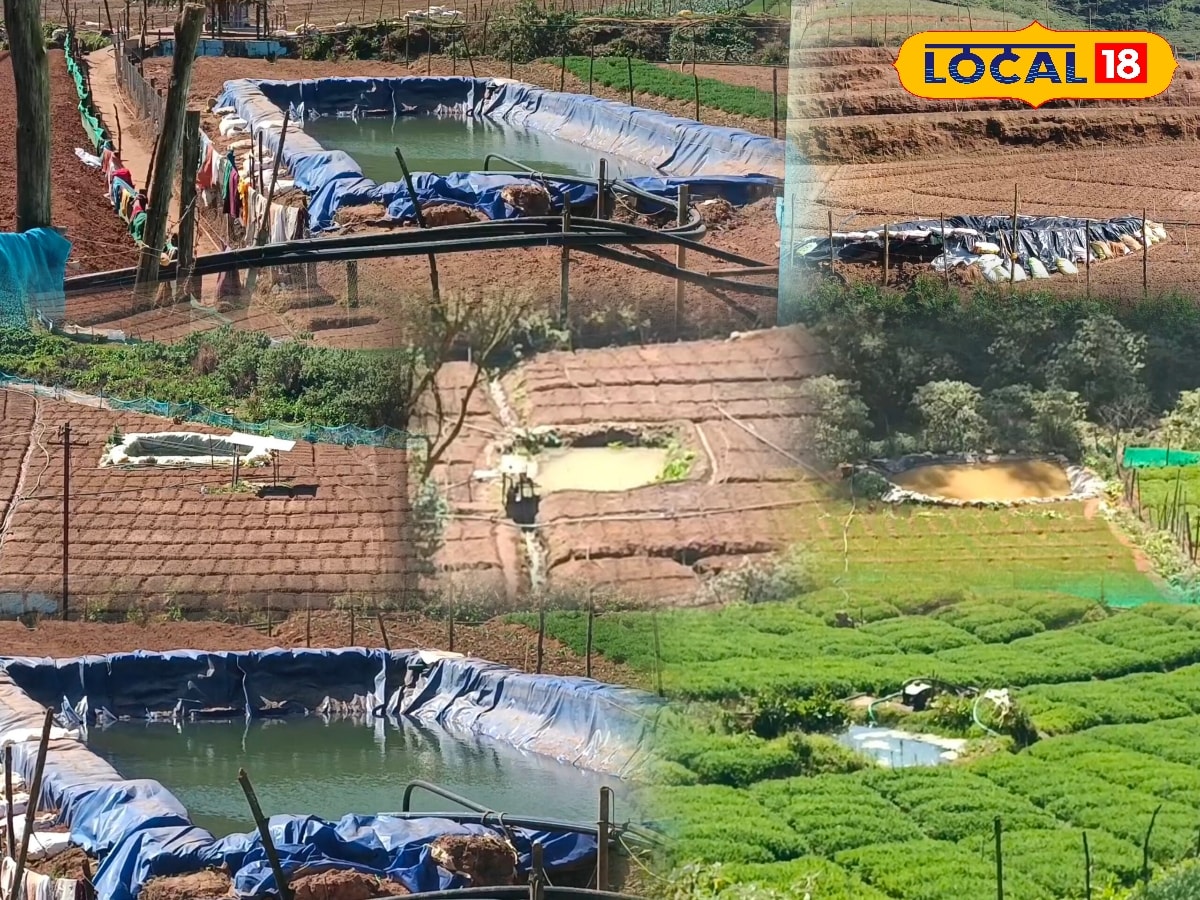 பயிர்களை காக்கும் பண்ணை குட்டை... உறை பனியில் இருந்து தப்ப விவசாயிகள் புது முயற்சி... | Agriculture News (விவசாய செய்திகள்) - News18 தமிழ்