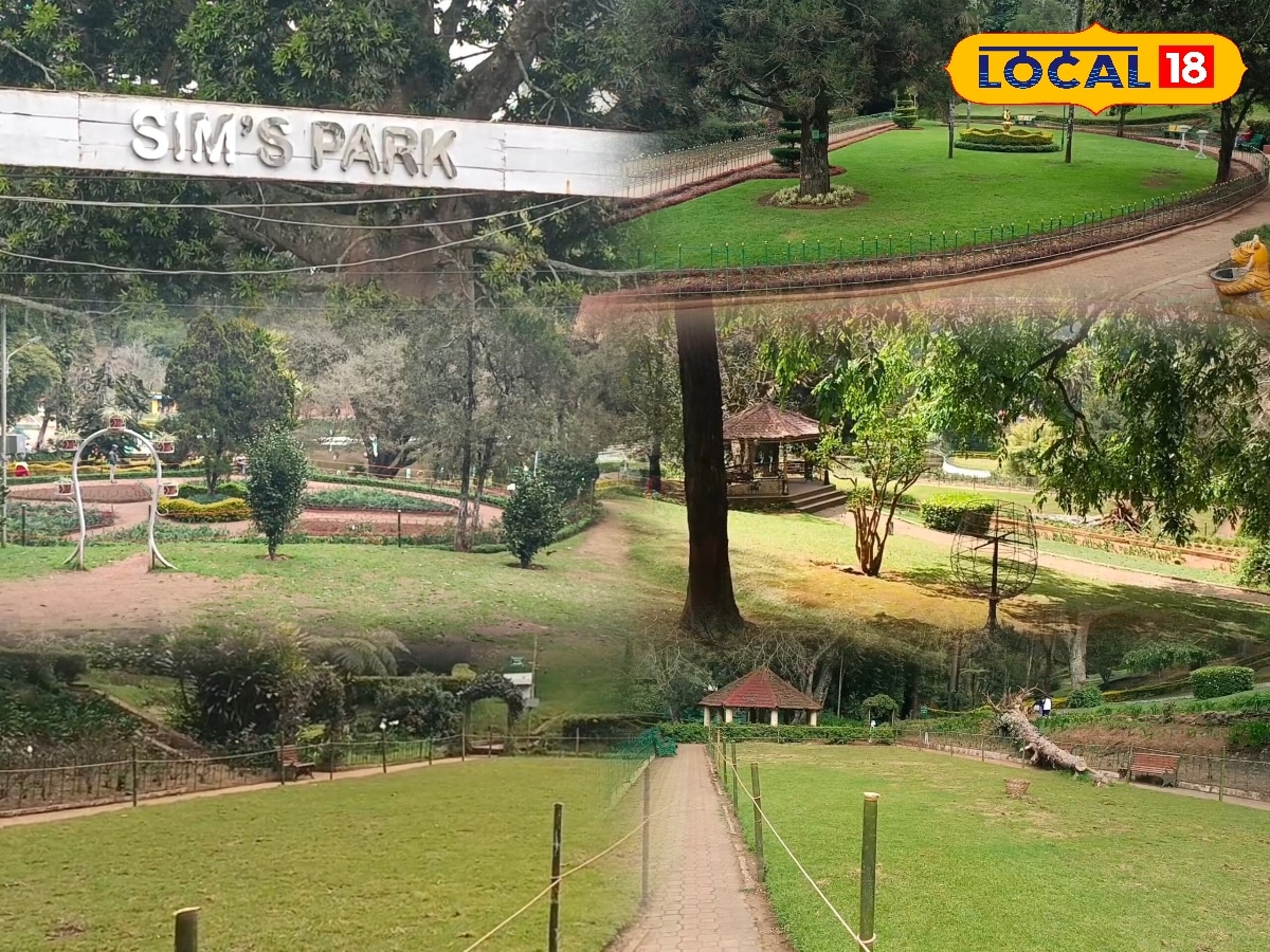 மனதை கொள்ளை கொள்ளும் அமைதி பூங்கா... ரகசிய சுற்றுலாக்கு சரியான ஸ்பாட்... | Nilgiris News (நீலகிரி செய்திகள்) - News18 தமிழ்