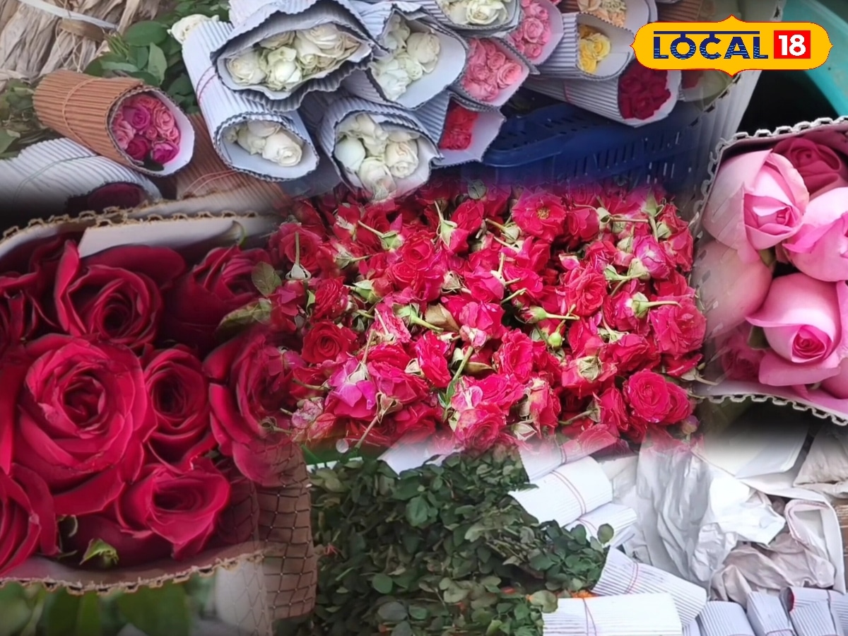 காதலர் தினத்தால் ரோஜாவிற்கு வந்த கிராக்கி... ரூ.700க்கு விற்பனையாகும் ஸ்டெம்ப்ரோஸ்... | கன்னியாகுமரி செய்திகள் (Kanyakumari News) - News18 தமிழ்