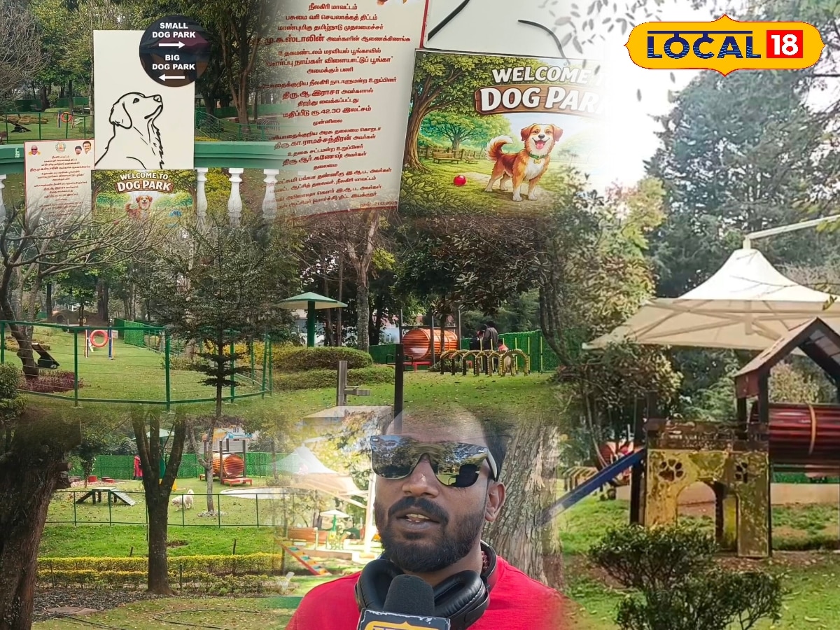 பயனற்று போன தமிழ்நாட்டின் முதல் நாய் பூங்கா... மக்கள் வருகை புரியாததன் காரணம் என்ன..? | Travel News (பயணச் செய்திகள்) - News18 தமிழ்