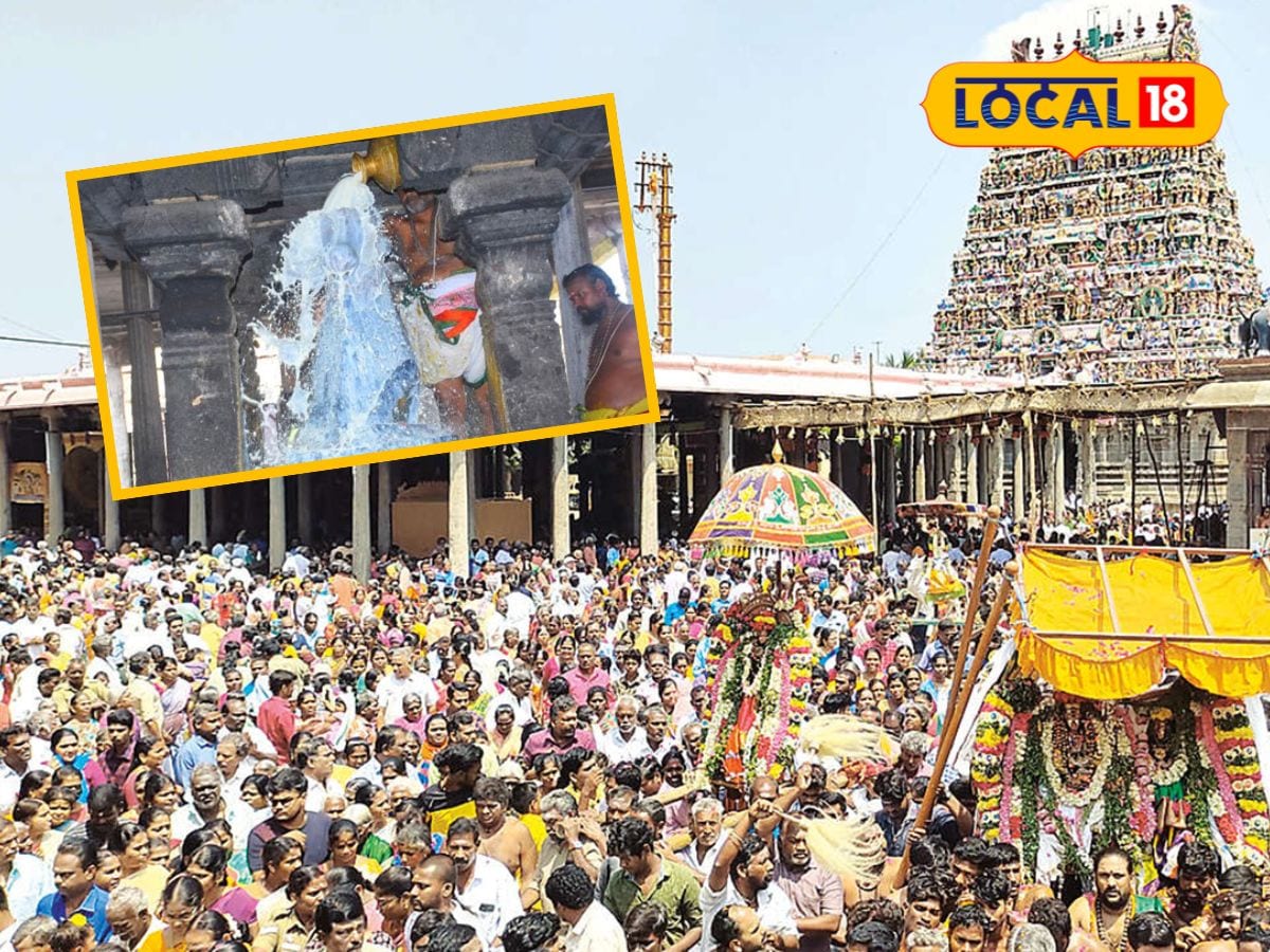 மாசி மகப் பெருவிழா... நந்தி பகவானுக்கு 1000 லிட்டர் பால் அபிஷேகம்... | தமிழ்நாடு செய்திகள் (Tamil Nadu News) - News18 தமிழ்