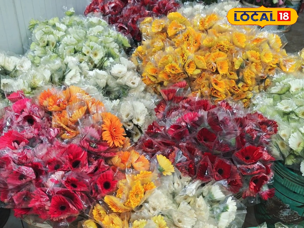 ஒரு கட்டு ரோஜா ₹1000... காதலர் தின விற்பனையில் மலர்ந்த விவசாயிகளின் நம்பிக்கை... | வணிகச் செய்திகள் - News18 தமிழ்