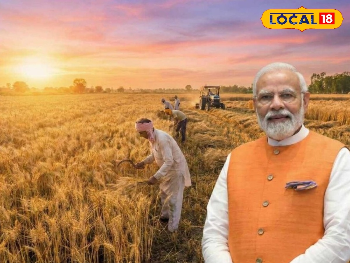 PM-KISAN 22வது தவணை: விவசாயிகளுக்கான ரூ.2,000 நிதி தள்ளிபோகுமா... லேட்டஸ்ட் அப்டேட்ஸ் இதோ... | Agriculture Stories Photogallery (வேளாண்மை போட்டோகேலரி) - News18 தமிழ்
