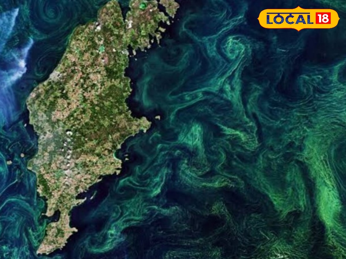 நாம் சுவாசிக்கும் ஆக்சிஜன் பூமிக்கு எப்படி வந்தது..? ஆச்சரியமூட்டும் ஆழ்கடல் ரகசியம்... | தமிழ்நாடு போட்டோகேலரி - News18 தமிழ்